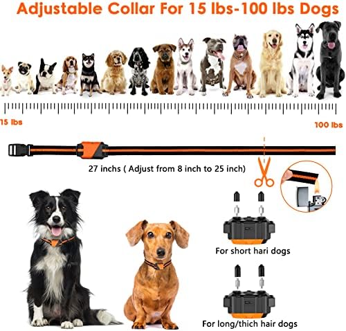 Waterproof testing demonstration of PIOUNS dog collar