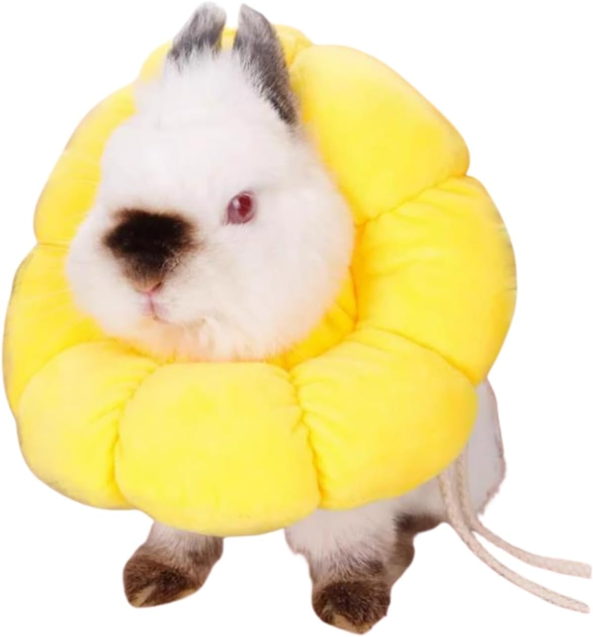 SEZDEKI Rabbit Protection Cone front view of yellow sunflower soft pet recovery collar.
