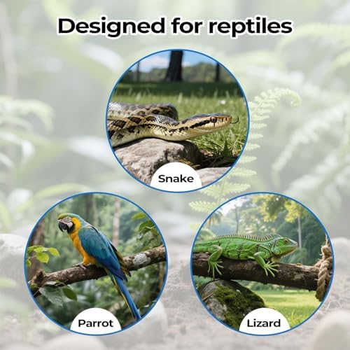 2 Pack Snake Climbing Rings for Ball Python & Corn Snake,Reptile Enrichment Toys for Snake,Ball Python Tank Decor, Reptile Tank Accessories for Bearded Dragon,Chameleon, Iguana, Gecko, Lizard (Black) - Image 6