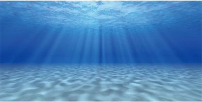 AWERT undersea theme aquarium background front view displaying a sunny underwater ocean floor scene for fish tanks.