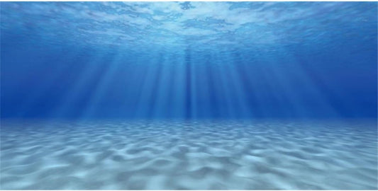 AWERT undersea theme aquarium background front view displaying a sunny underwater ocean floor scene for fish tanks.