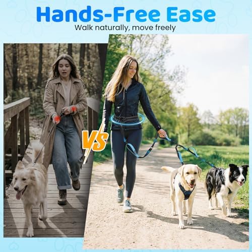 Two large dogs walking smoothly side by side with the tangle-free hands-free waist leash.