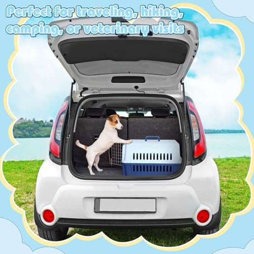 Maxdot hard sided airline compliant pet carrier set up for car travel