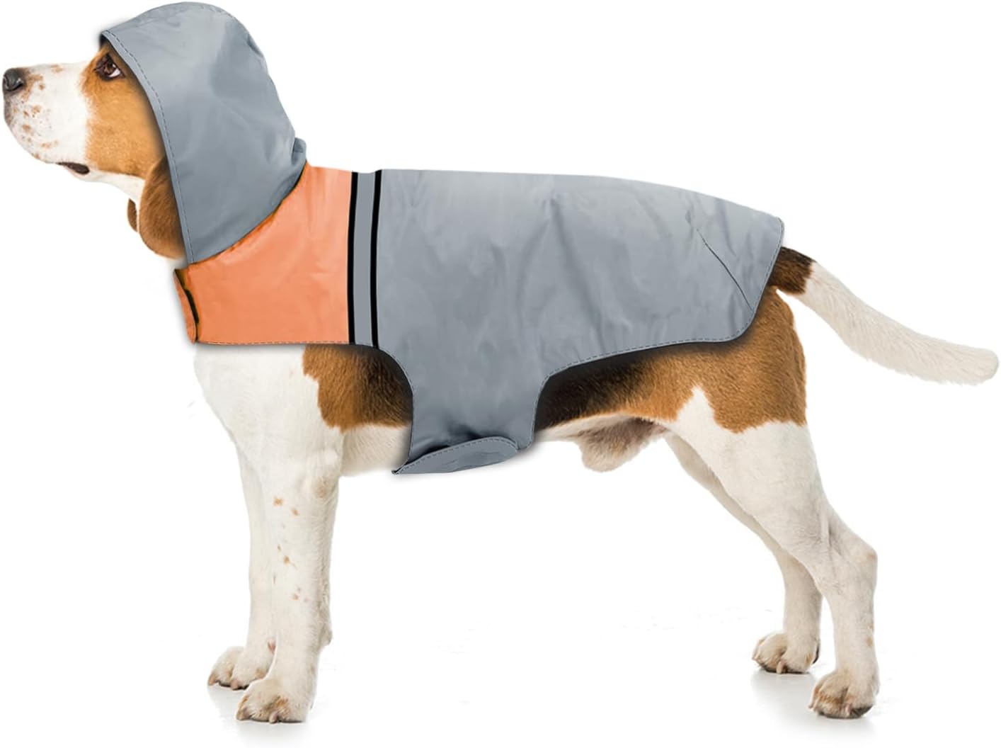 Havenfly waterproof dog raincoat front view showing the protective hood and orange collar accent.