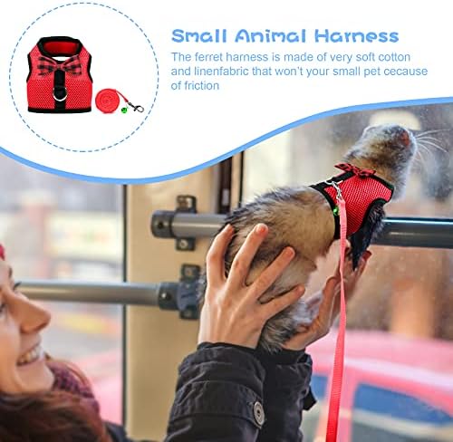 Rypet small pet leash and harness set