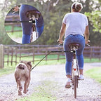 Petbetf dog bike leash black variant in outdoor setting