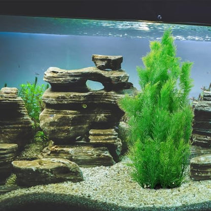 Close up view of the flexible green leaves on the tall Kathson aquarium decoration