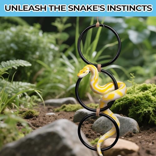 2 Pack Snake Climbing Rings for Ball Python & Corn Snake,Reptile Enrichment Toys for Snake,Ball Python Tank Decor, Reptile Tank Accessories for Bearded Dragon,Chameleon, Iguana, Gecko, Lizard (Black) - Image 4