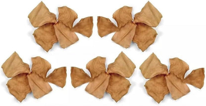 Premium dental health dog rawhide treats with peanut butter flavor packaging