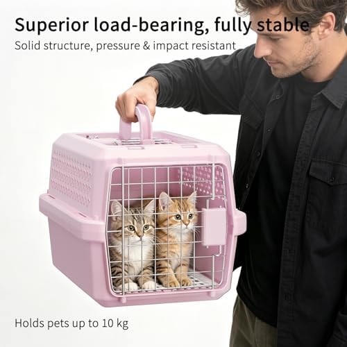 Rizzari portable dog and cat kennel with top carry handle