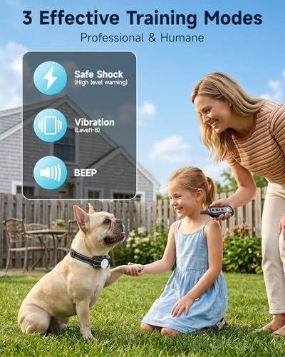 Patpet remote control with training mode buttons
