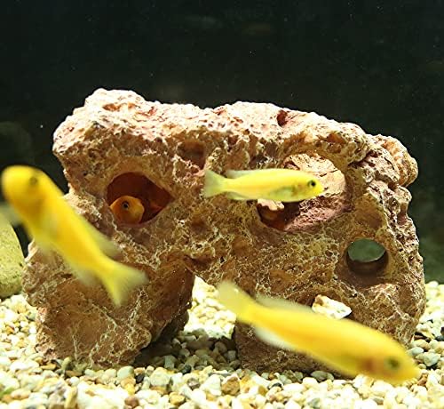 Alegi sea coral aquarium decoration packaged for direct USA import