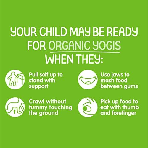 Nutritious organic baby food snacks imported to India from the United States