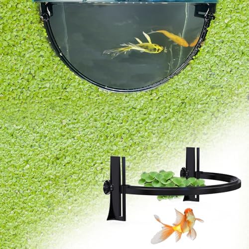Self adjusting floating plant corral separating duckweed from filter