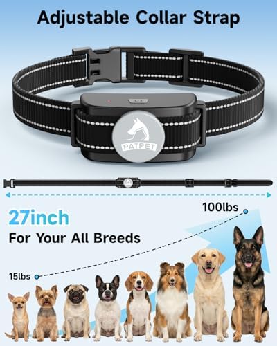 Dog wearing Patpet training collar outdoors