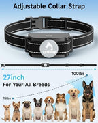 Dog wearing Patpet training collar outdoors