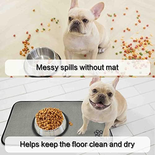 Sinland gray pet bowl placement in home setting