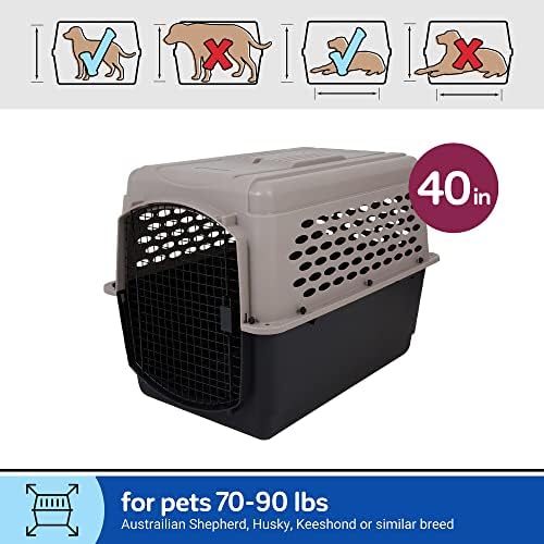 Petmate airline friendly dog kennel easy open security latch mechanism close up.