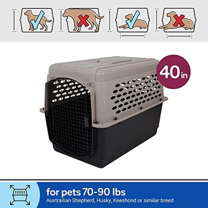 Petmate airline friendly dog kennel easy open security latch mechanism close up.