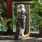 Authentic FUKUMARU pet scratcher protective furniture alternative packaged contents