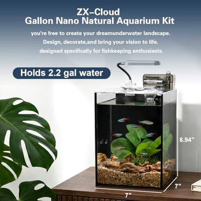 Small aquarium kit displayed on office desk