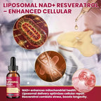 Hovika cellular health supplement lifestyle and product layout