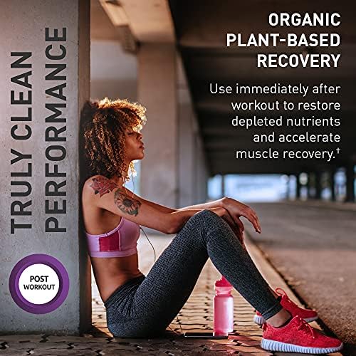 Garden of Life plant-based recovery powder with 100mg magnesium and organic B vitamins 522g