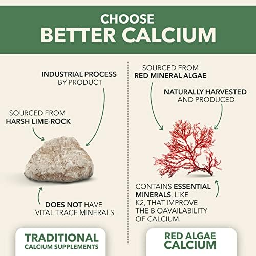 PlantFusion Vegan Calcium ingredient label closeup