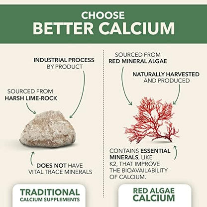 PlantFusion Vegan Calcium ingredient label closeup
