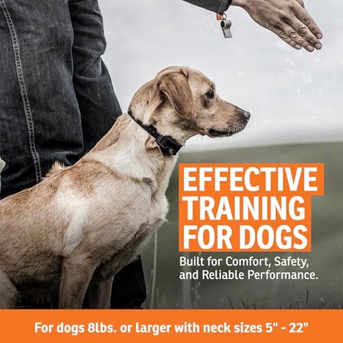 SportDOG 425X training collar showing durable strap