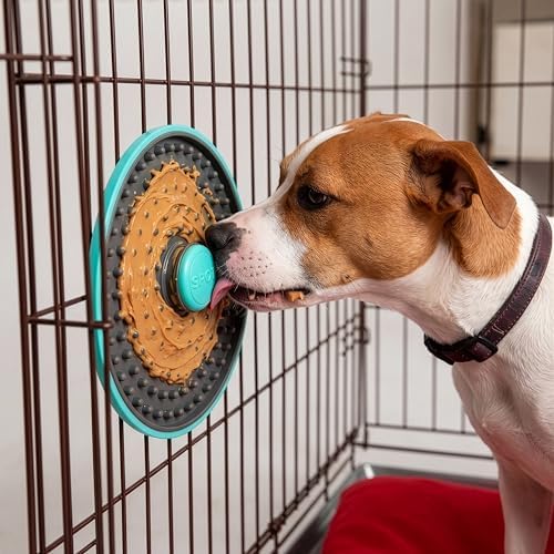 Spot Soothers Lick Mat dishwasher safe flat lay