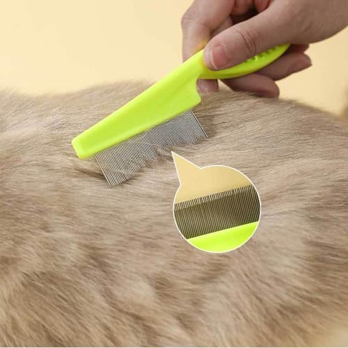 Subang tick removal kit arranged for cat and dog grooming