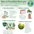 Complete packaging of Houseplant Resource Center Silica Strength