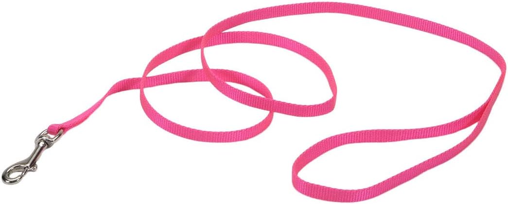 Coastal Pet single ply nylon dog leash front view premium imported pet accessories India