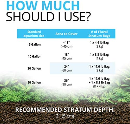 Freshwater aquarium setup featuring Fluval stratum soil