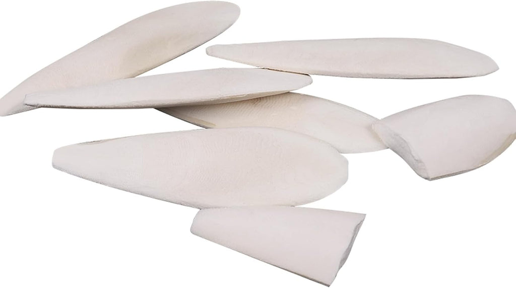 Cuttlebone for Birds 6 Pcs Large Natural Cuttlefish Bone for Parakeets - Image 4