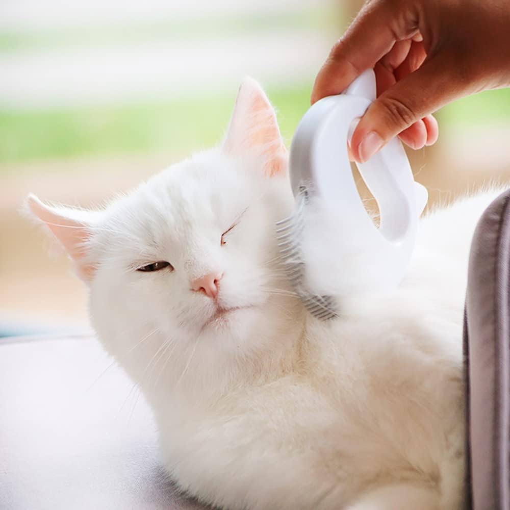 Leo's Paw shell comb removing matted fur from a puppy.