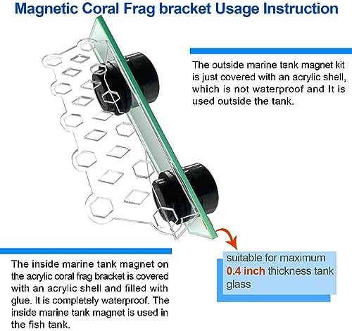 Aquarium Choice reef magnets holder displayed with eleven white ceramic coral frag plugs inserted.