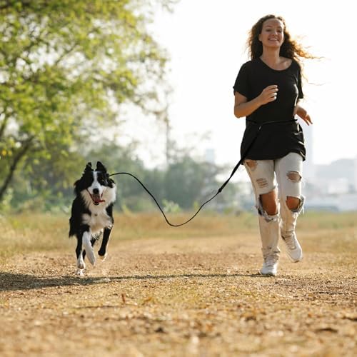 Hands Free Dog Leash Crossbody & Waist for Walking, 9-in-1 No Pull Dog Harness & Leash Set, Heavy Duty Waterproof Slip Lead for Large Medium Breeds (20-120lbs, Black) - Image 5