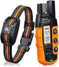 Bousnic training collar receiver on dog