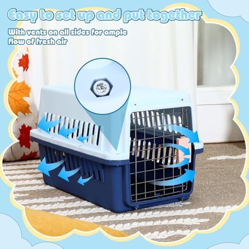 Inside view of the Maxdot travel kennel showcasing the comfortable cooling pad accessory