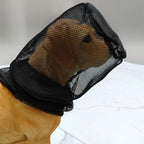 Complete dimensions and sizing guide for medium dog head guard