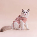 Female kitten wearing pink recovery suit showing comfortable fit