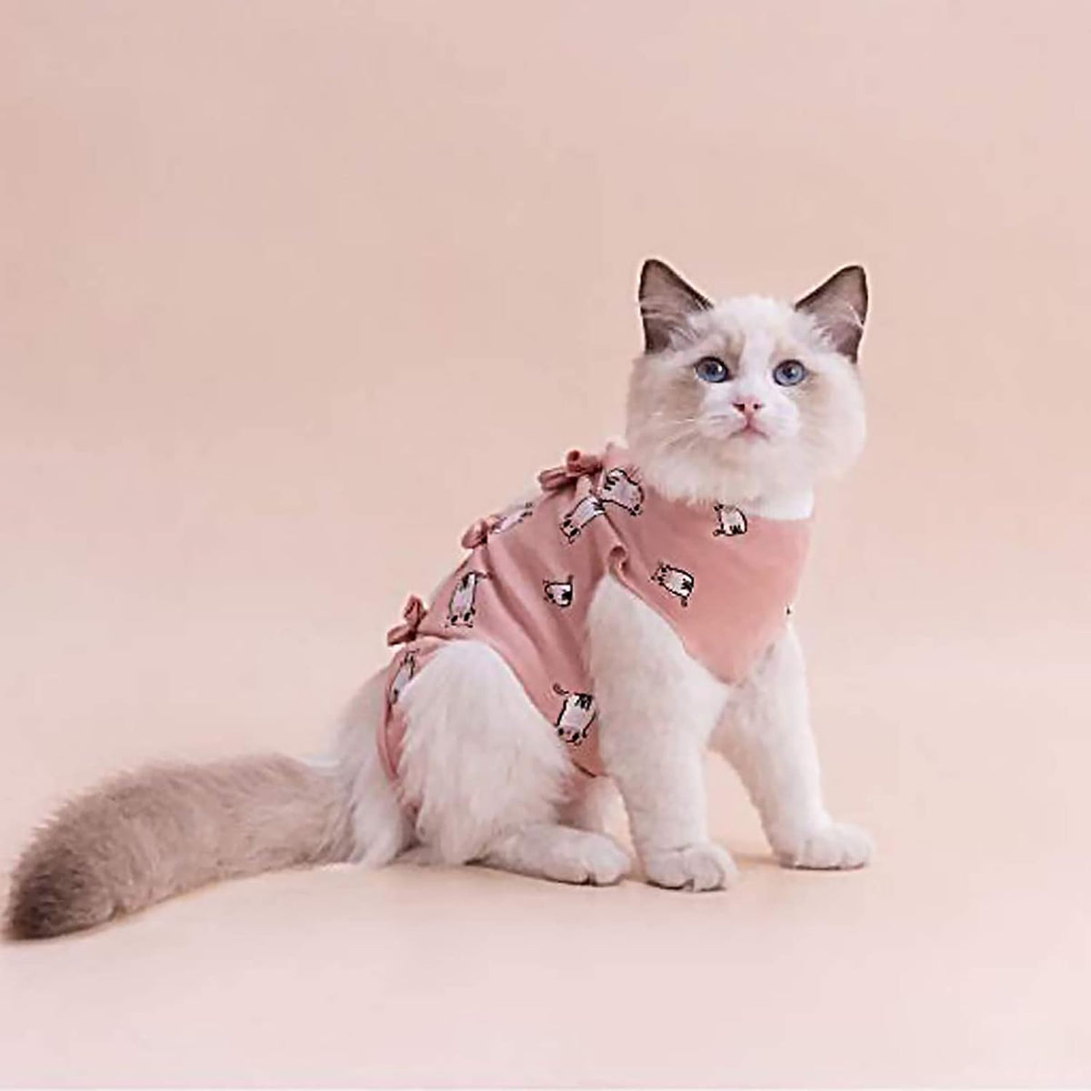 Female kitten wearing pink recovery suit showing comfortable fit