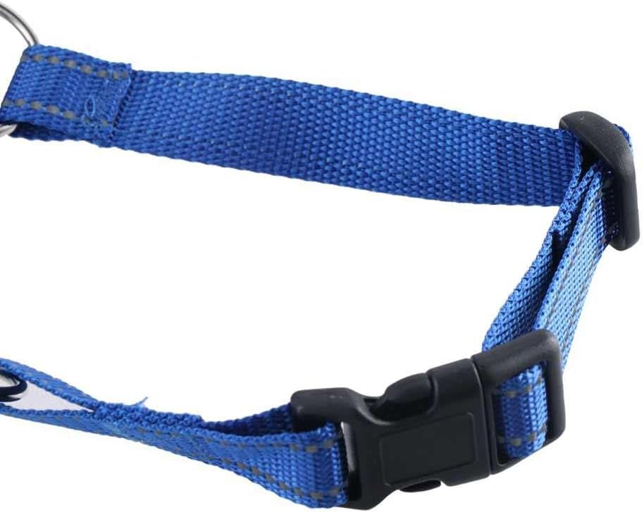 Barkless anti pulling head halter showing a large breed dog panting and drinking comfortably