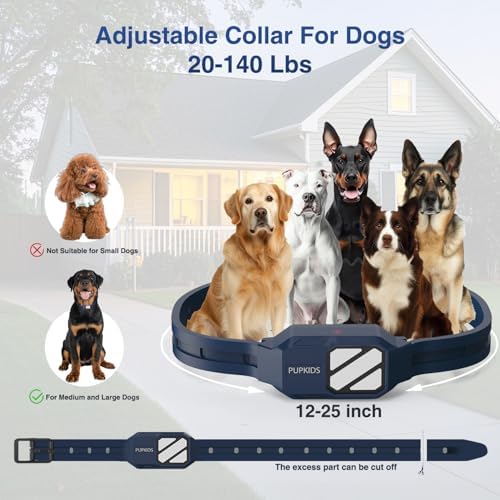 Four thousand two hundred feet range pet correction tool kit with charging accessories
