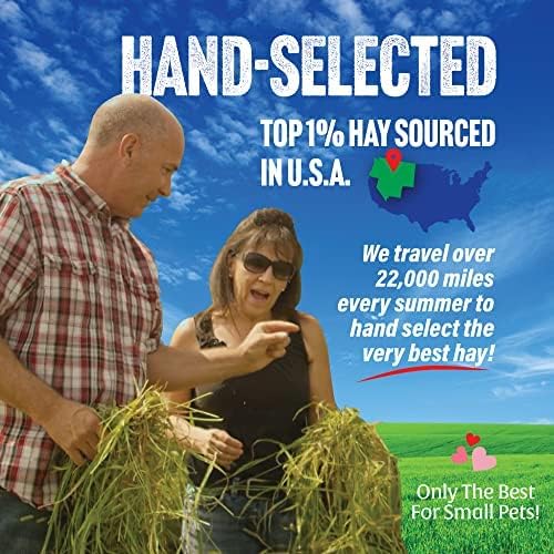 Small Pet Select Timothy Hay natural texture and leaf close up