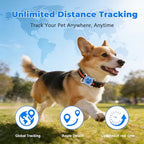 Real time tracking pet device being adjusted on a golden labrador retriever.