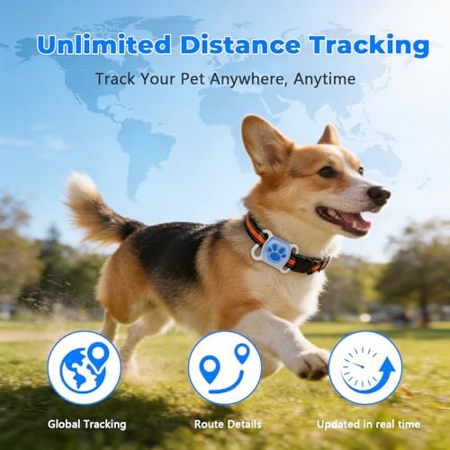 Real time tracking pet device being adjusted on a golden labrador retriever.