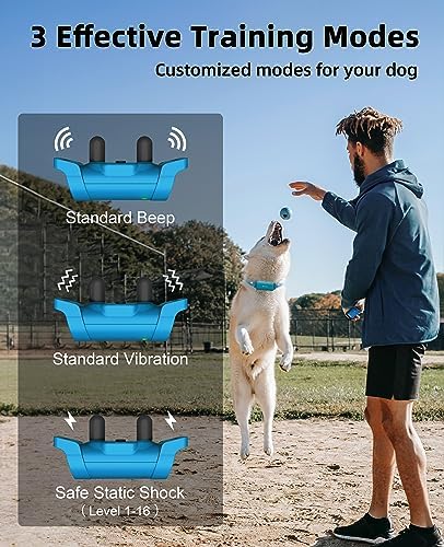 Bousnic waterproof collar on a dog